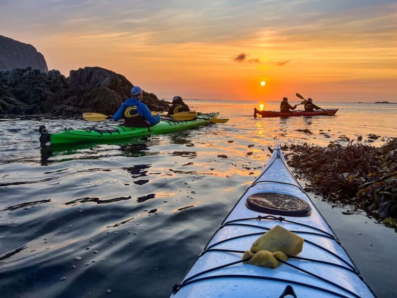 Eggum: Lofoten Islands Midnight Sun Kayak Tour - Experience Highlights