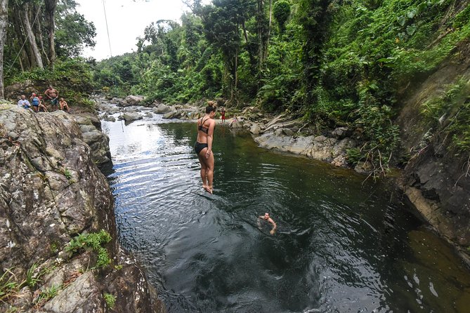 El Yunque Rainforest Tour From Fajardo - Inclusions for Participants