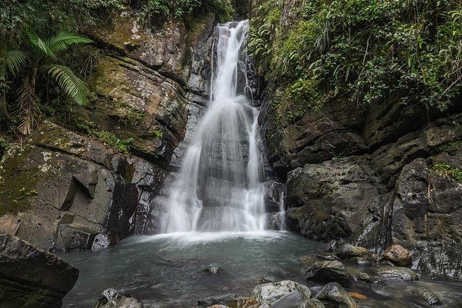 El Yunque Rainforest Tour With Transport From San Juan Area - Included Services