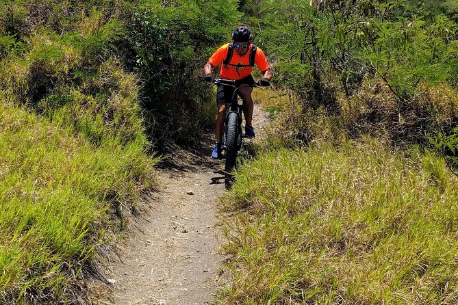 Electric Bike Bajan Sightseeing Experience (Transport Included) - Included in the Experience