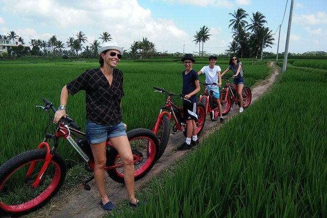 Electric Bike Tour in Ubud - Pickup and Meeting Point
