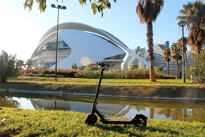 Electric Scooter Rental - Safety and Insurance Details