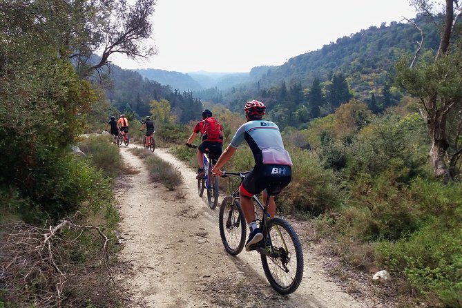 Eleftherna E-Bike and MTB Tour - Experience The Authentic Crete - Included Amenities