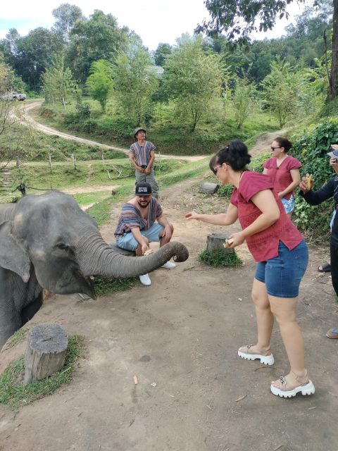 Elephant Care and Grand Canyon Jumping - Feeding and Interacting With Elephants