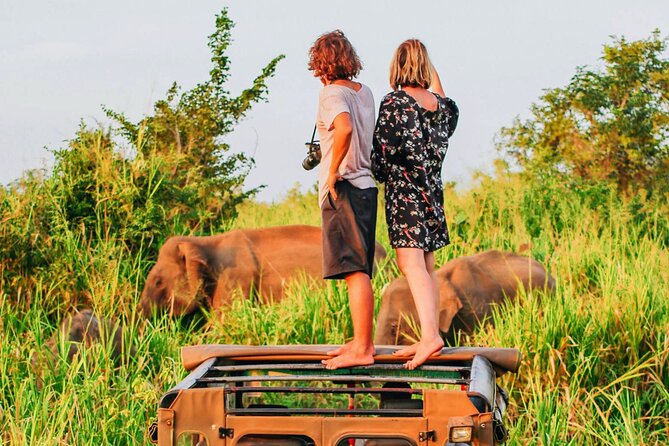 Ella to Mirissa Shuttle & Safari Drive - Inclusions of the Tour