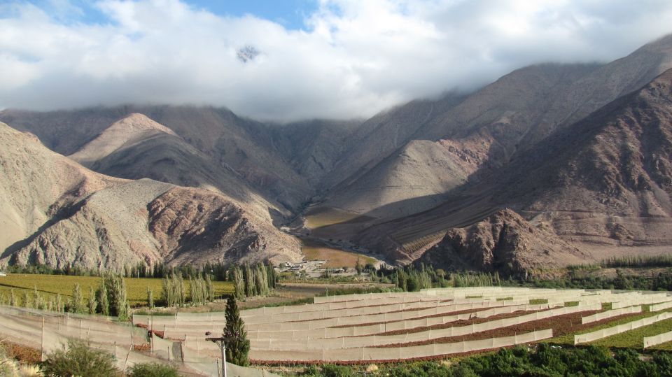 Elqui Valley Tour From La Serena - Inclusions