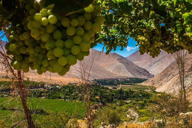 Elqui Valley Tour: Full Day History and Flavors - Inclusions and What to Expect