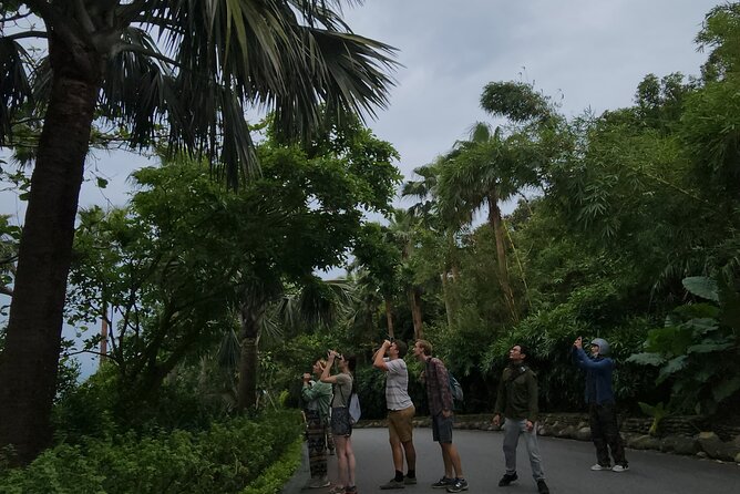 Endangered Monkeys Watching - Red Shanked Douc Langurs - Highlights of Experience