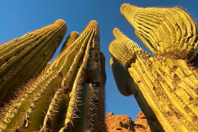 Epic Camelback Mountain Guided Hiking Adventure in Phoenix, Arizona - Health and Safety Guidelines