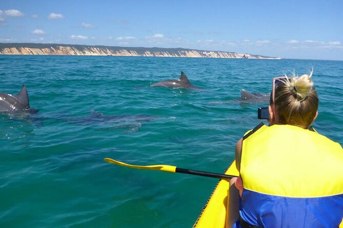 Epic Kayak With Dolphins & Wildlife - 4WD Beach Adventure Noosa - Inclusions and Exclusions