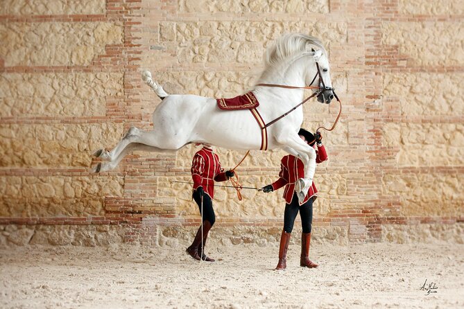 Equestrian Show Royal Stables of Córdoba - Audience Ratings and Feedback