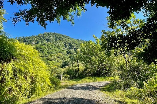 Esquipulas Rainforest - Private Birding - Fully Customizable Tour - Inclusions and Amenities Offered