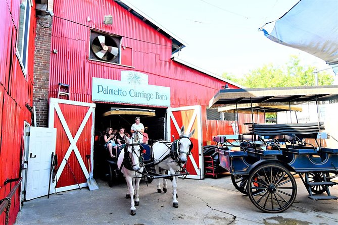 Evening Horse-Drawn Carriage Tour of Downtown Charleston - Meeting Point and Logistics