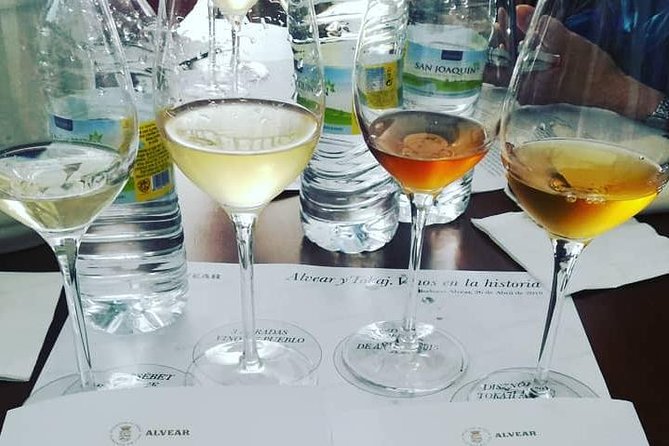 Evening Wine Tasting Córdoba - Tasting 4 Montilla-Moriles Wines