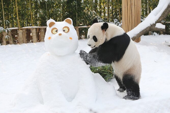 Everland Theme Park Admission Ticket With Transfer From Seoul - Transportation and Pickup Details