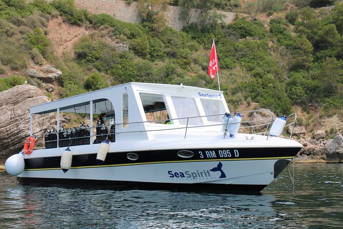 Exciting PADI Discover Scuba Diving Experience Isola Bella Marine Park Taormina - Exploring the Protected Marine Reserve