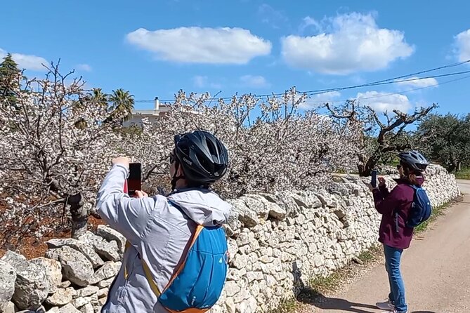 Excursion Electric Bike Villages of Apulia - Tour Highlights