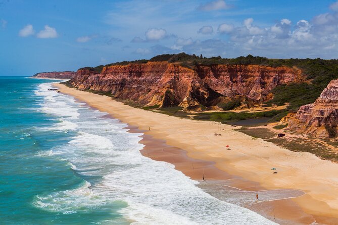 Excursion to Praia Do Gunga With Luck Receptivo Maceió - Accessibility Options