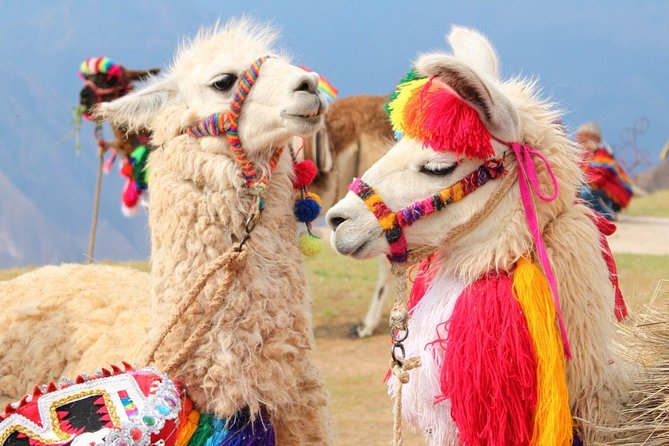 Excursion to Rainbow Mountain From Cusco || Private Tour || - Inclusions and Amenities