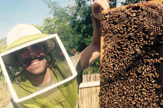 Experience Our Honey Farm And Beekeeping Tour - Location and Accessibility