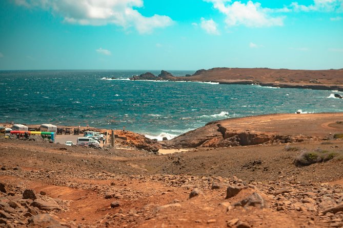 Explore Aruba Party Bus Tour - What to Expect