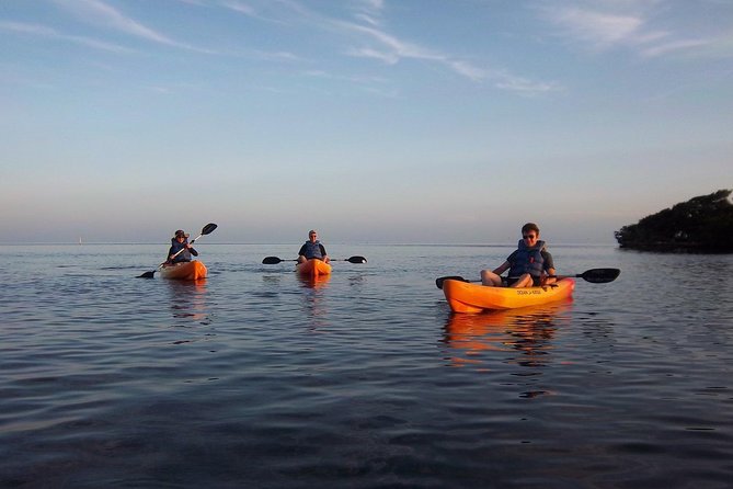 Explore Mangrove Creeks With an All Day Sup/Single Kayak Rental - Meeting Point and Start Time