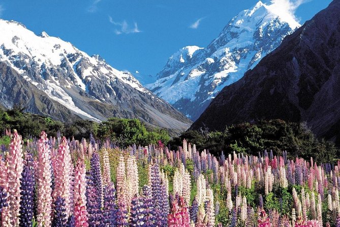 Explore Mount Cook From Christchurch - Scenic Experiences