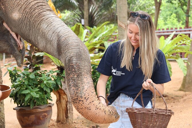 Explore the Authentic Samui With Elephant Home Sanctuary - Daily Schedule and Logistics