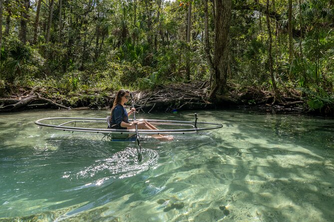 Explore The Chaz: Exclusive Clear Kayak Tours Near Crystal River - Unique Features of Clear Kayaks