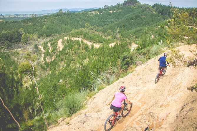 Explore the Waitangi MTB Park on Electric Bikes - Benefits of Electric Bikes