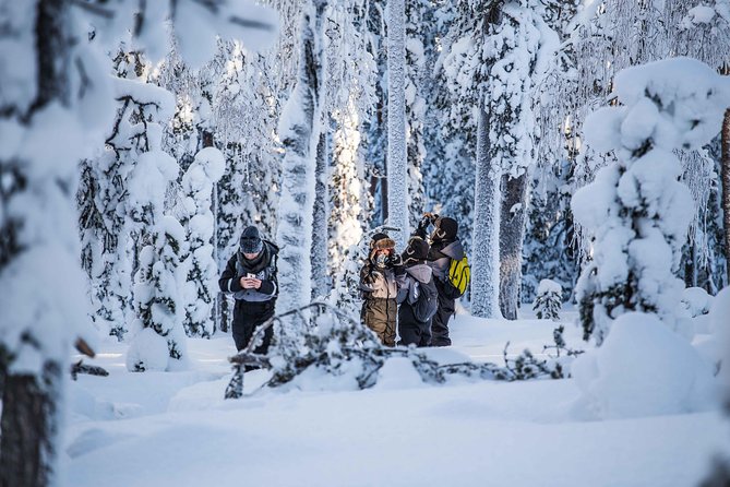 Explore the Wilderness - Expert Guidance for Photographers