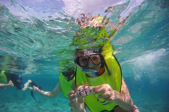 Fajardo Afternoon Snorkeling Adventure Tour - Tour Duration and Schedule