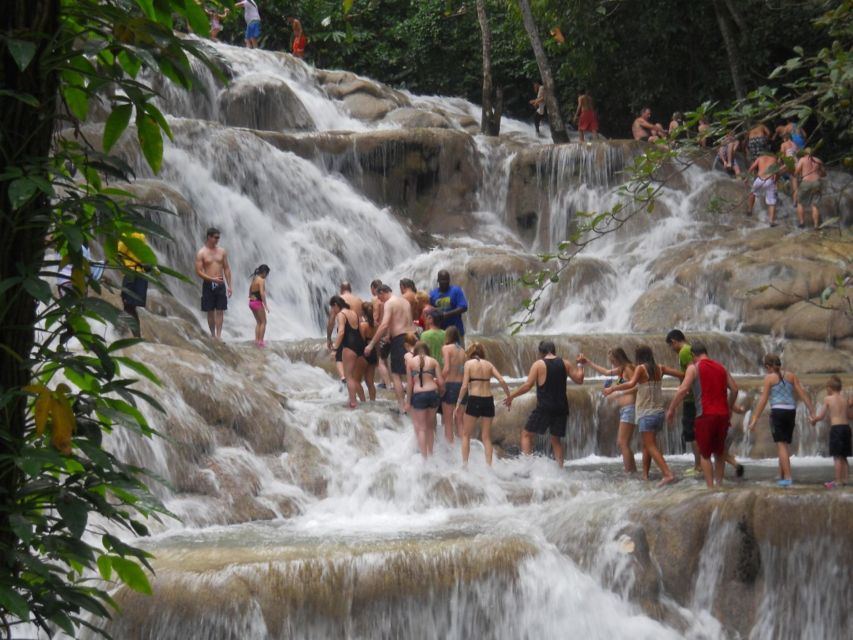 Falmouth: Bamboo Beach Club & Dunns River Falls - Climbing Dunns River Falls