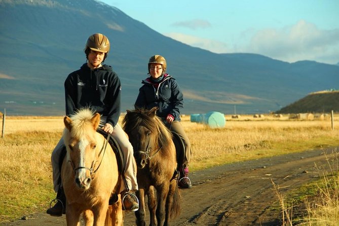 Family Friendly Horse Riding Tour in Skagafjörður - Scenic Riding Experience