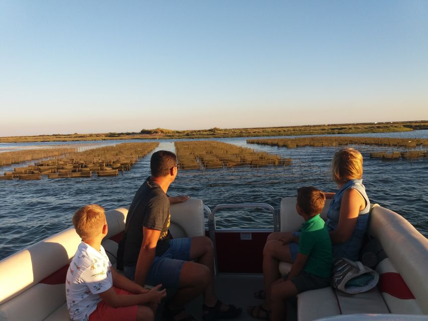 Faro: Ria Formosa Catamaran Tour - Experience and Itinerary