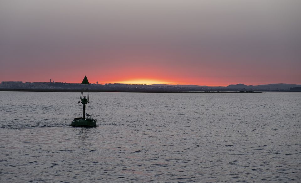 Faro: Ria Formosa Guided Sunset Tour by Catamaran - Experience Highlights