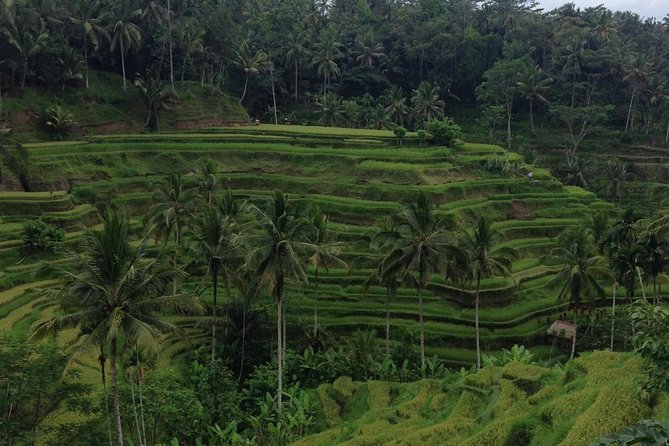 Favorite Sites of Ubud Daytrip - Unique Cultural Experiences
