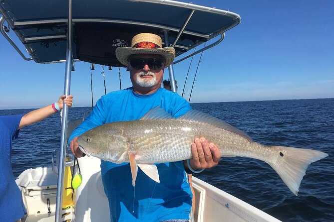 Fishing Charters - Fort Myers Beach / Naples - Target Fish Species