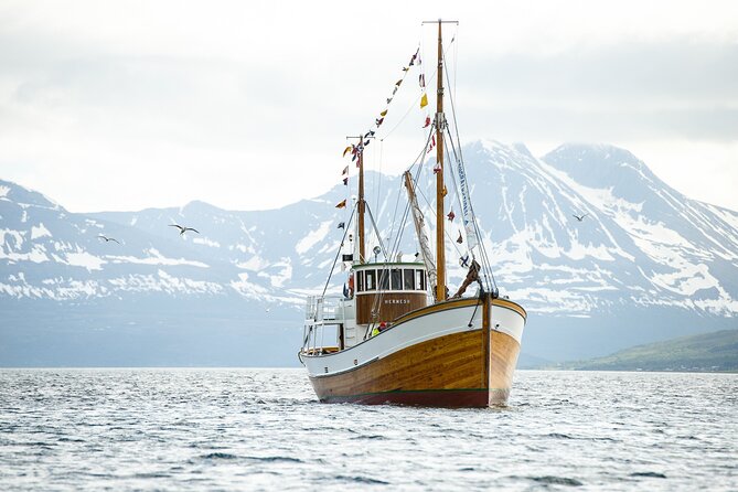 Fjord & History Cruise - Meeting and Departure Details