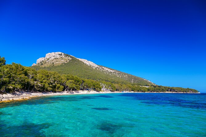 Formentor With Boat Trip + Local Market - Local Market Experience
