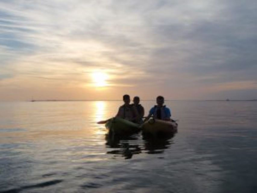 Fort Myers: Guided Sunset Kayaking Tour Through Pelican Bay - Highlights