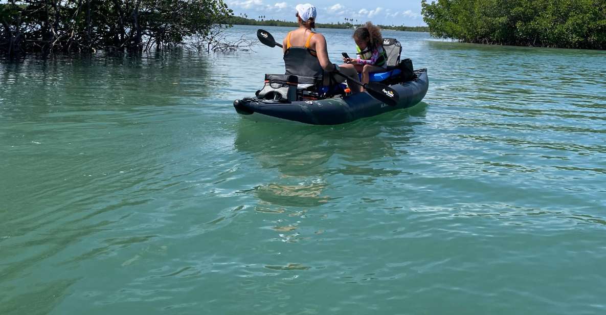 Fort Pierce: 6-hr Mangroves, Coastal Rivers & Wildlife in FL - Explore Mangrove Jungles