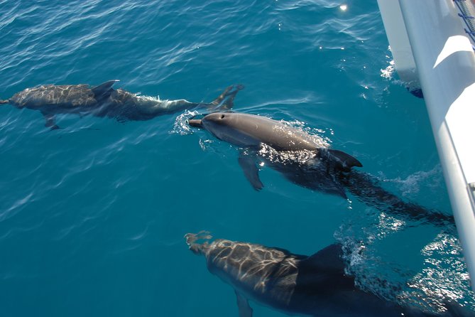 Fraser Island & Dolphin Sailing Adventure - Itinerary and Schedule