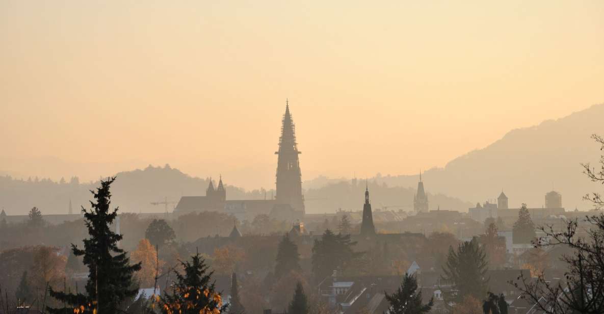 Freiburg: Capture the Most Photogenic Spots With a Local - Experience Highlights