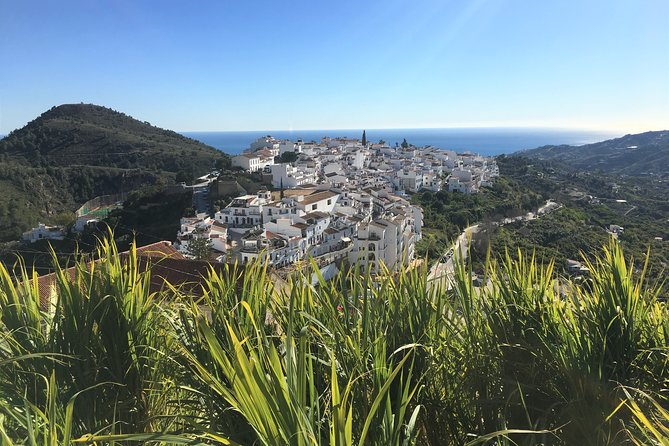Frigiliana Small-Group Hike and Wine Tasting Tour From Malaga - Meeting and End Points