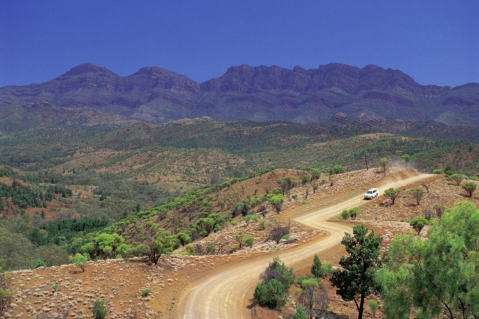 From Adelaide: 3-Day Flinders Ranges Small Group Eco Safari - Group Inclusions