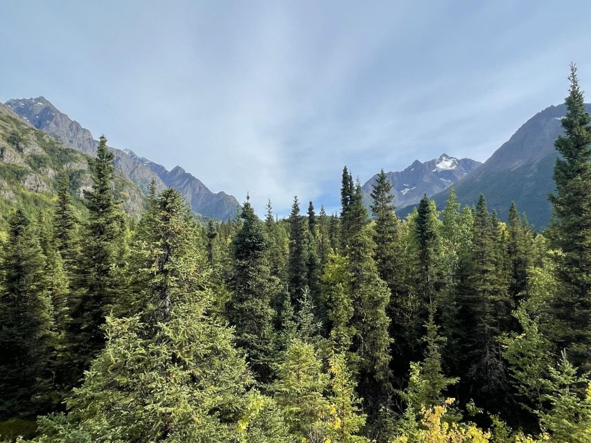 From Anchorage: Valley and Forest Hike With Naturalist Guide - Highlights of the Hike