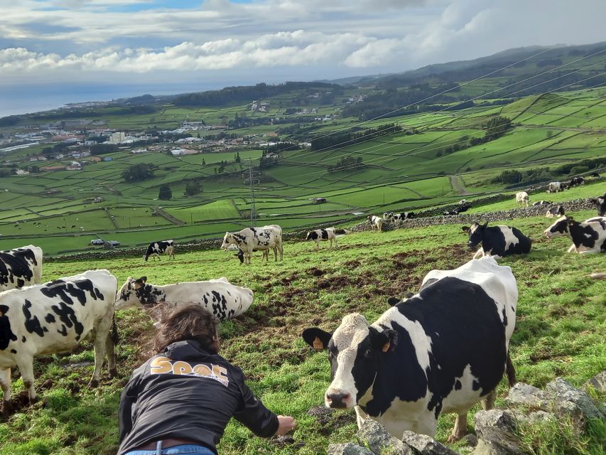 From Angra: Terceira Island Full-Day Jeep Tour - Views of Angra Do Heroismo