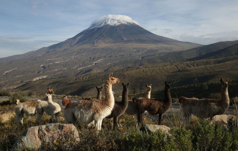 From Arequipa: Excursion to Salinas Lagoon - Itinerary Details