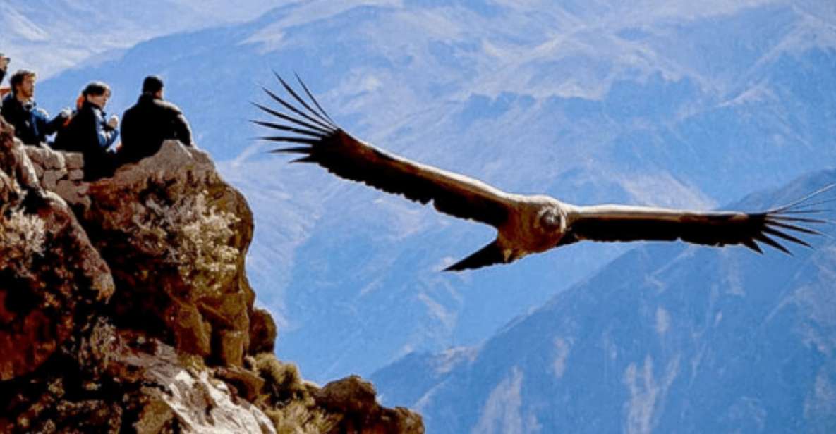 From Arequipa: Tour to Chivay & Colca Canyon - Itinerary Highlights